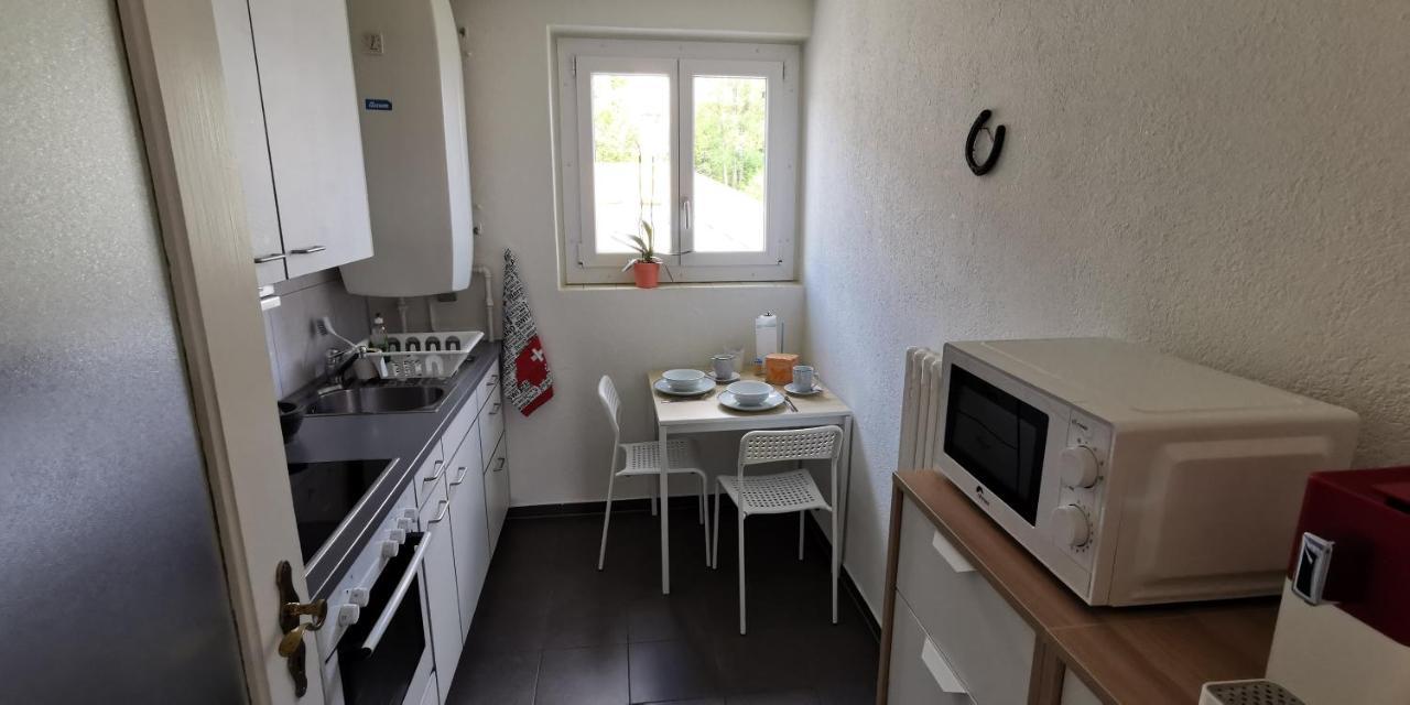 Helvetia 2 Zimmer Apartment Mit Parkplatz Zürich Exterior foto